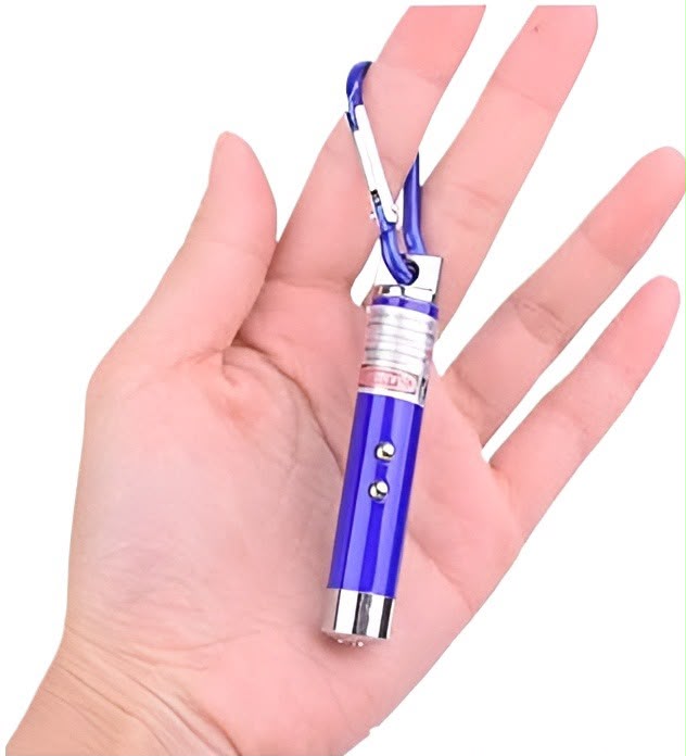 Mini LED Laser Pointer Keychain – Portable Presentation & Pet Toy Light
